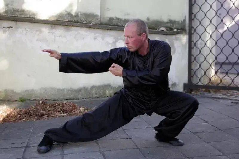 David Šejna Kung Fu