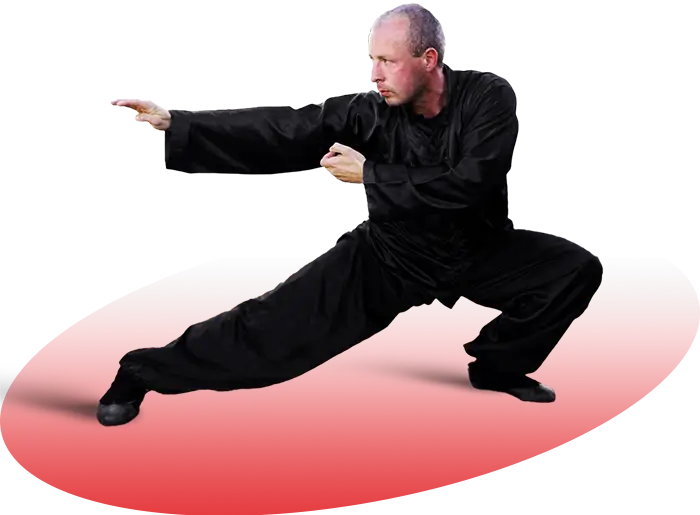 David Šejna Kung-Fu postoj